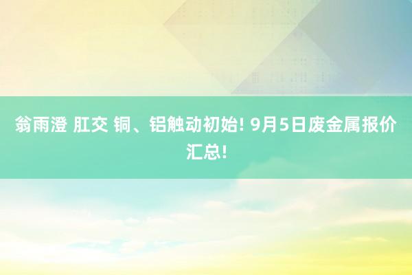 翁雨澄 肛交 铜、铝触动初始! 9月5日废金属报价汇总!