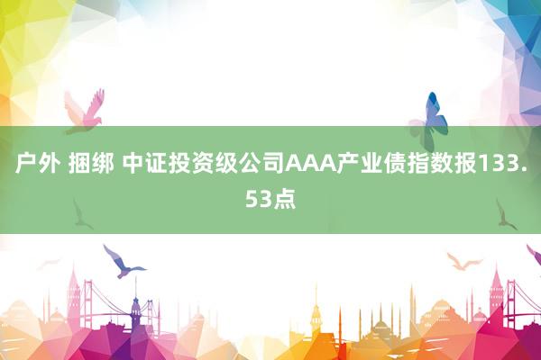 户外 捆绑 中证投资级公司AAA产业债指数报133.53点