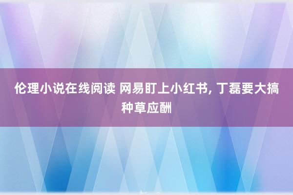 伦理小说在线阅读 网易盯上小红书, 丁磊要大搞种草应酬